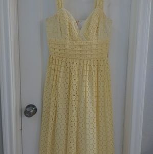 Size 4 Yellow Lace Shoshanna Dress